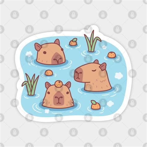 Cute Capybaras Chilling In Hot Spring With Oranges Capybara Magnet