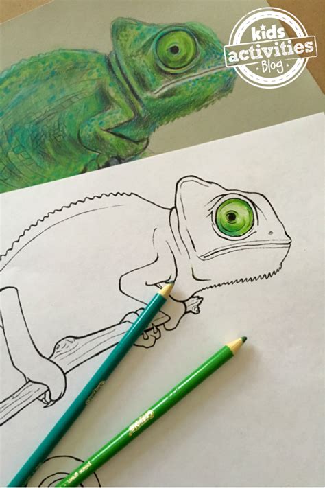 Mixed Up Chameleon Coloring Page