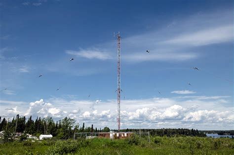 Ve Sl Steve Amateur Radio Blog