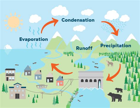 The Water Cycle Grade 2 BCHydro Power Smart For Schools