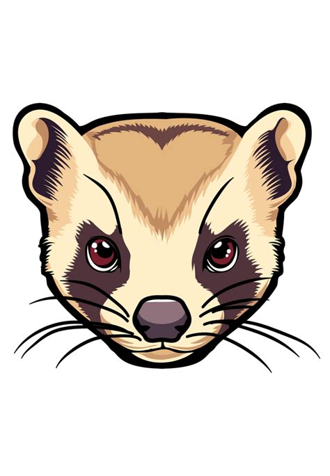 Free Clip Ferret Download Free Clip Ferret Png Images Free Cliparts