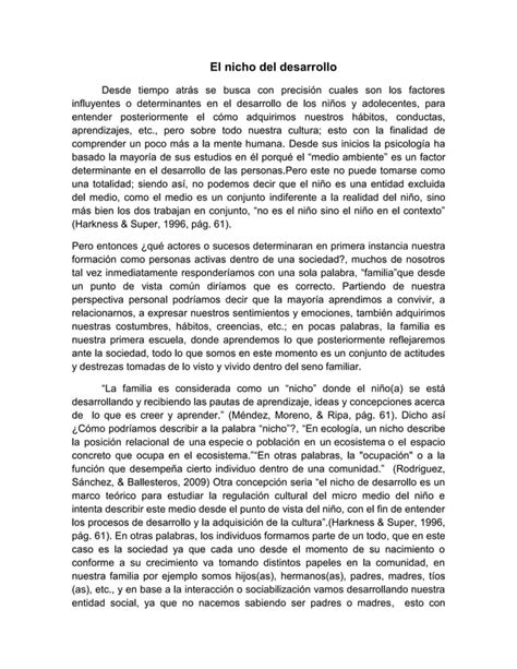 Ensayo Nicho Del Desarrollo Pdf