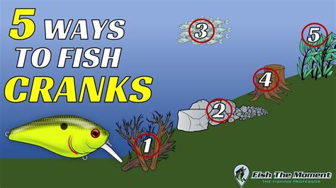 5 Ways To Fish Crankbaits For Fall Bass Youtube