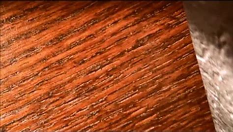 Free Zeus Porn Videos Xhamster