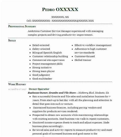 Owner Operator Resume Example