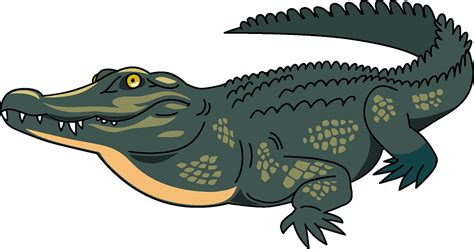 Free Crocodile Clipart, Download Free Crocodile Clipart png images
