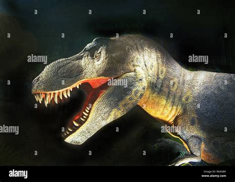 Detail of the dinosaur Tyrannosaurus rex, a large meat eating dinosaur