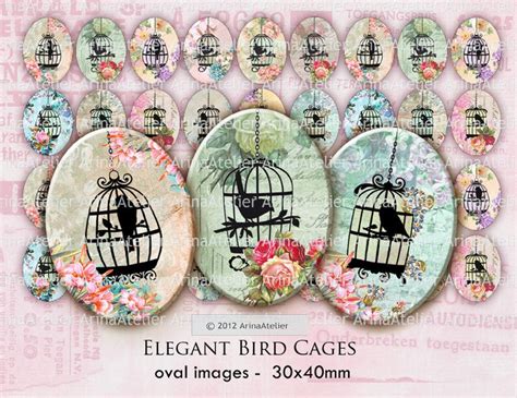 Elegant Bird Cages Oval Micro Slides 30x40mm Oval Images Etsy
