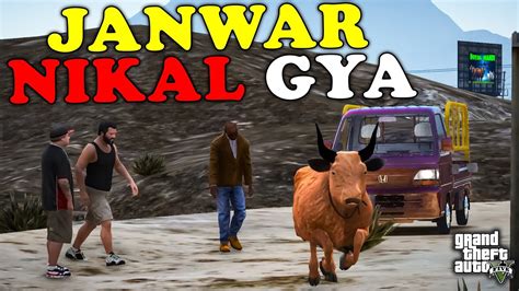 COW GOT OUT OF CONTROL WHILE LOADING MANDI 2K24 GTA 5 Real Life