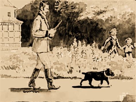 «Булька» читательский дневник кратко | Литрекон