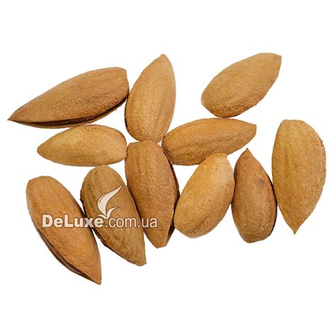 Миндаль в скорлупе, сорт бумажный – купить по выгодной цене | Орехи Делюкс