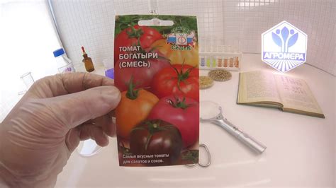 Томат Богатыри (смесь). СеДеК - YouTube