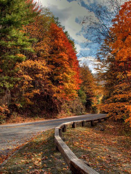 Hiking The Smoky Mountains Inside Sevierville
