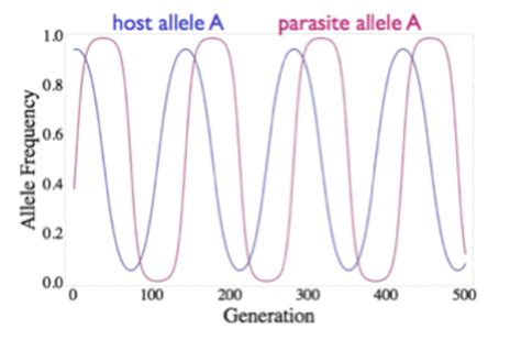 Chapter Sex Causes And Consequences Flashcards Quizlet