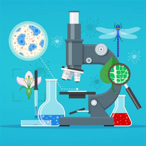Наука и Эксперименты Биология оптом - Лаборатория Игр