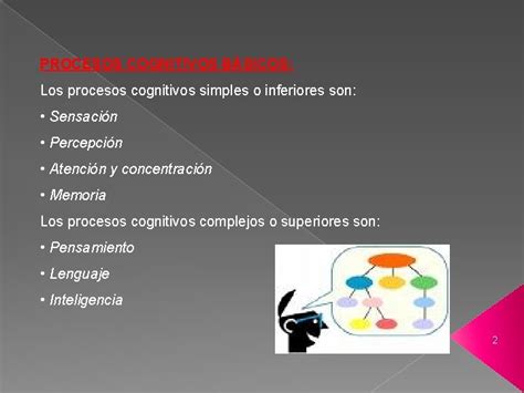 Procesos Mentales 1 PROCESOS COGNITIVOS BSICOS Los Procesos