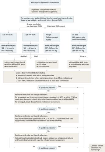 Fichas De Aprendizaje Hipertension Arterial Sistemica Quizlet