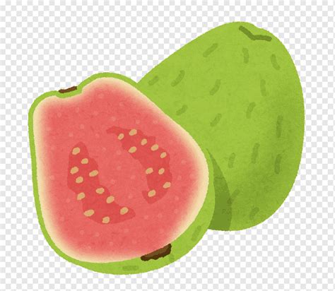 13 Gambar Kartun Buah Jambu Biji Juyik Kanri