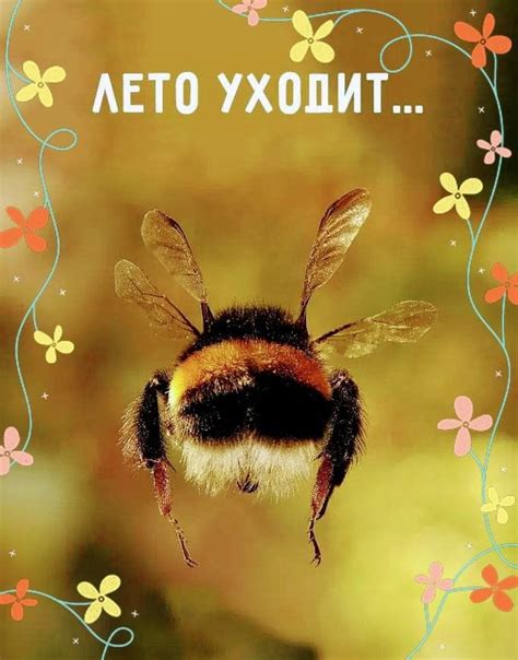 Справжній мед - Home | Facebook