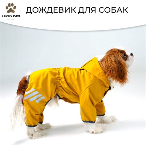 Одежда для собак, дождевик комбинезон для малых и средних пород ...