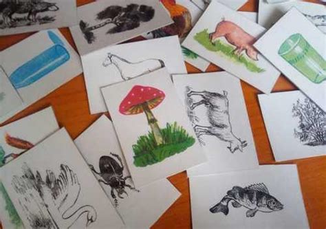 Методика Классификация предметов, карточки 62 шт | Festima.Ru – частные ...