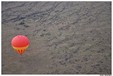 The Maasai Mara Triangle - masai mara national reserve