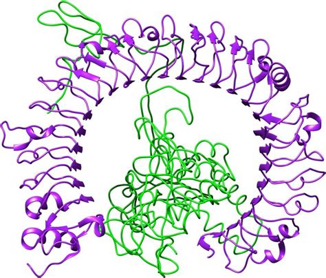 Ligand Receptor Docked Complex Figure Obtained After Molecular Docking