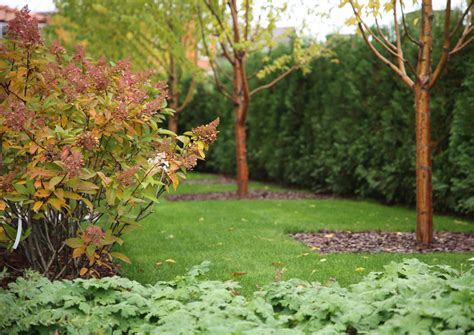 Проект n_project_22 | NB-GARDEN