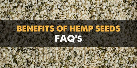 Hemp Seed Benefits The Ultimate Guide