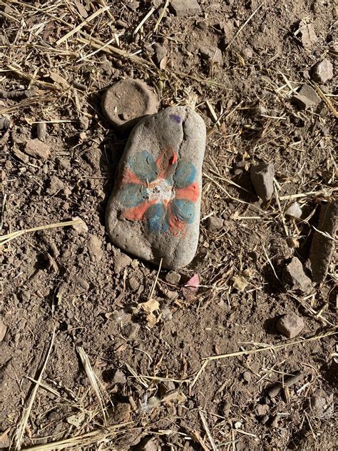 Gallery | brooke-isprettycool | VSCO