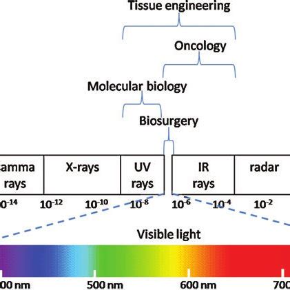 (PDF) Biomedical Applications of Photochemistry