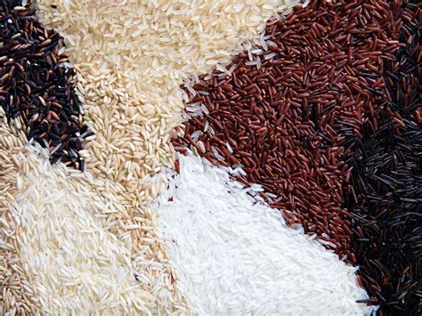 A Comprehensive Guide To Rice Varieties