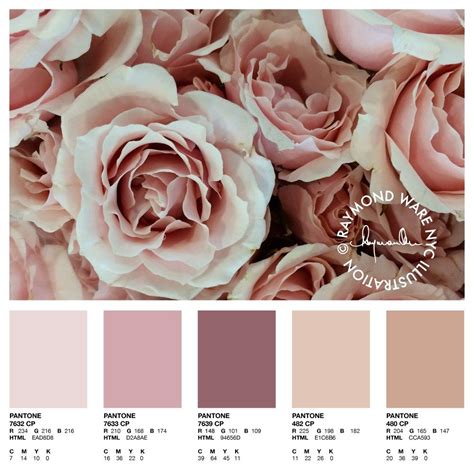 Blush Rose Wedding Color Palette