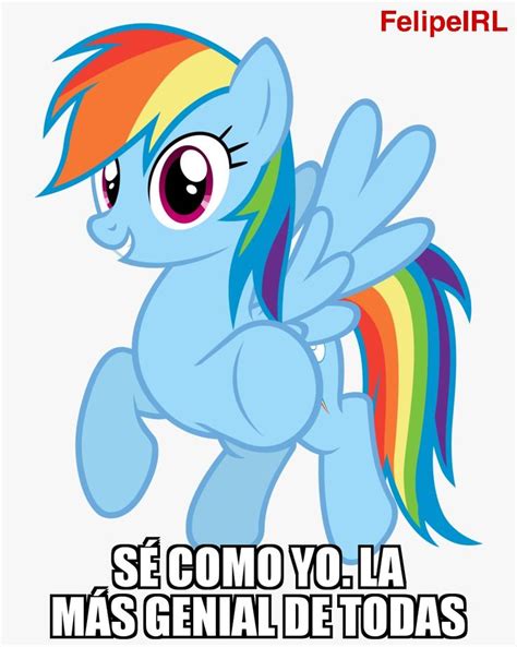 Rainbow Dash Meme | Pony, De my little pony, Acrobatas