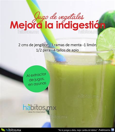 Jugo De Vegetales Mejora La IndigestiÓn Hábitos Health Coaching