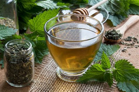 Top 10 Foods To Increase Haemoglobin In Blood Wlp Free Trials