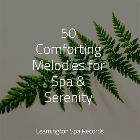 50 Comforting Melodies For Spa And Serenity Album By Cascada De Lluvia