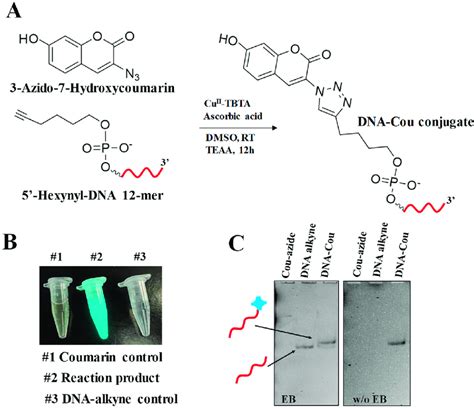 Coupling Of Odn Alkyne With Coumarin Azide Utilizing Click Chemistry