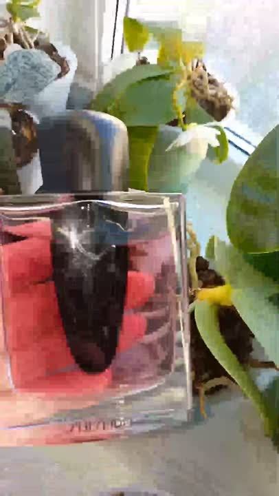 Ginza Murasaki SHISEIDO Женская парфюмерия – купить по низким ценам в ...