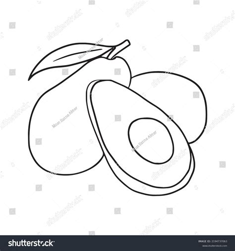 beautiful avocado  art imagesoutline drawingvector stock vector