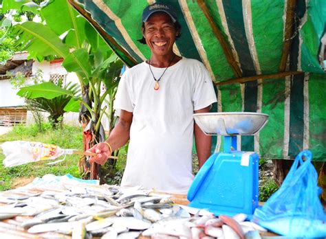 building sustainable livelihoods  stories save  children