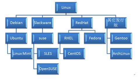 Linux Linux Csdn