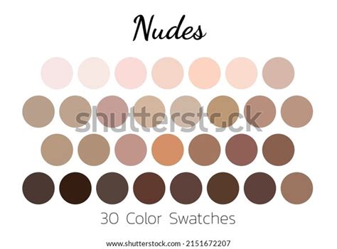 Collection Color Palettes Nude Tones Stock Vector Royalty Free Shutterstock
