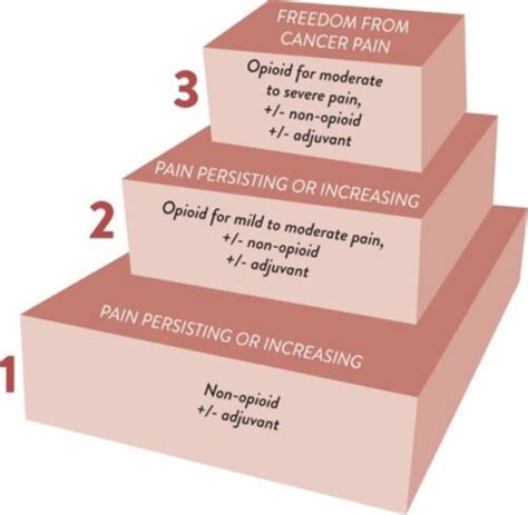 Cancer Pain: WHO Analgesic Ladder - OpenAnesthesia
