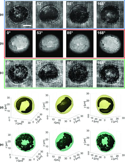 Supporting Movie 5 Three Dimensional Graphene Reconstruction In An