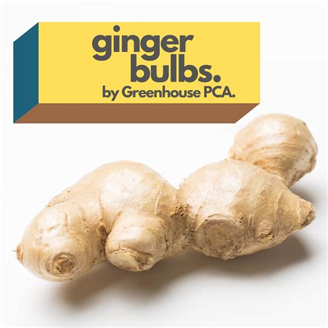 Chopped Fresh Ginger Root