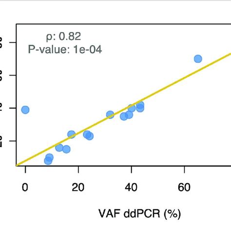 Correlation Between The Variant Allele Frequency Of The Somatic