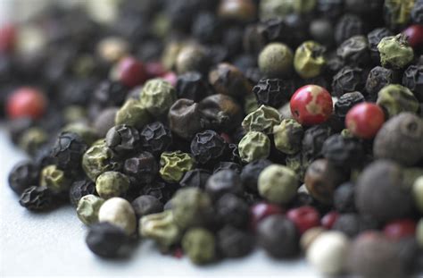 10 Things You Didn't Know About Pepper - AOL Lifestyle