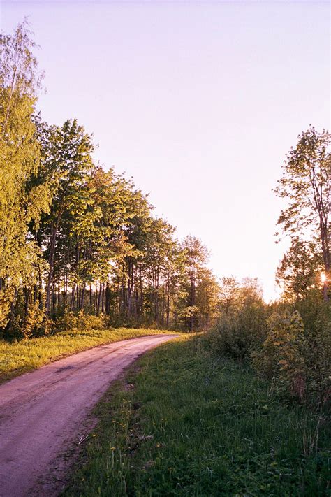 Fujifilm Fujicolor C200 Film Review - 50mmF2