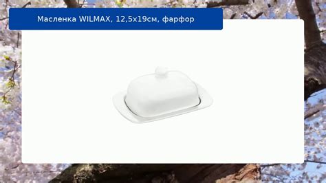 Масленка WILMAX, 12,5х19см, фарфор обзор - YouTube